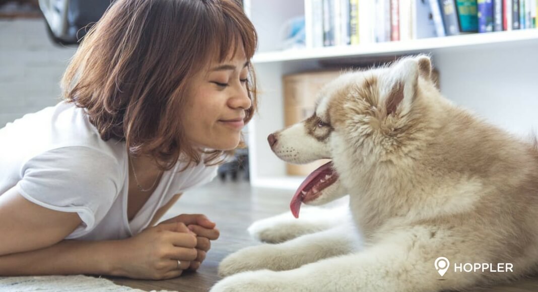 10-pet-friendly-condos-in-metro-manila 10 pet friendly condos in metro manila
