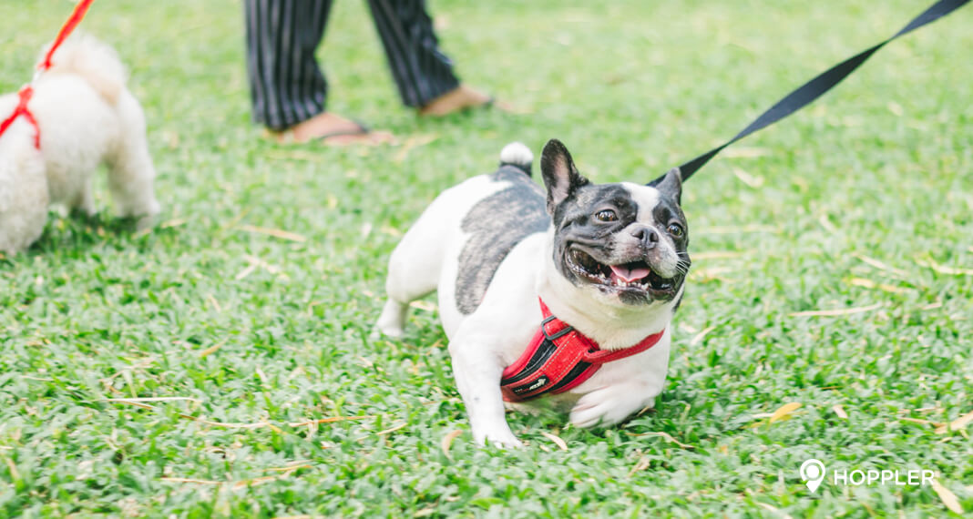 hoppler-five-parks-in-taguig-city-that-promote-well-being